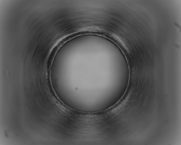 X0000091990923200709061217