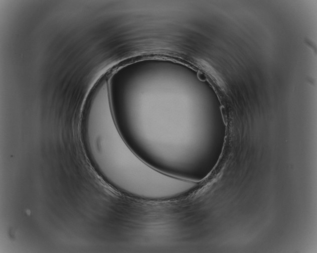 X0000091990924200709061217