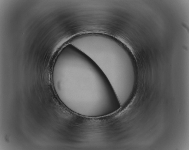 X0000091990925200709061217