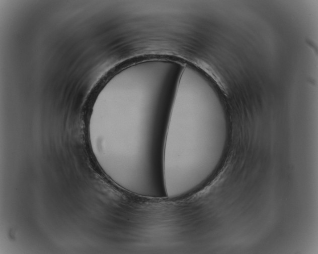 X0000091990926200709061217