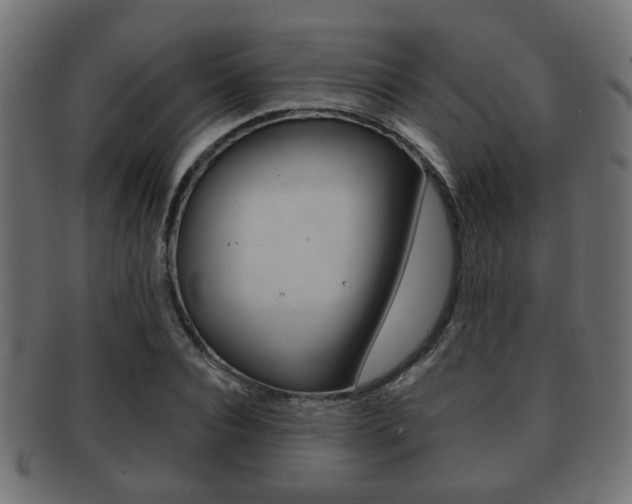 X0000091990928200709061217
