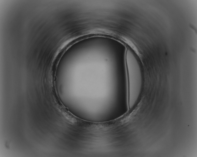 X0000091990931200709061217
