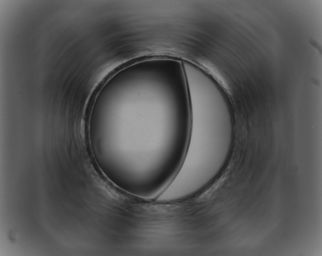 X0000091990932200709061217
