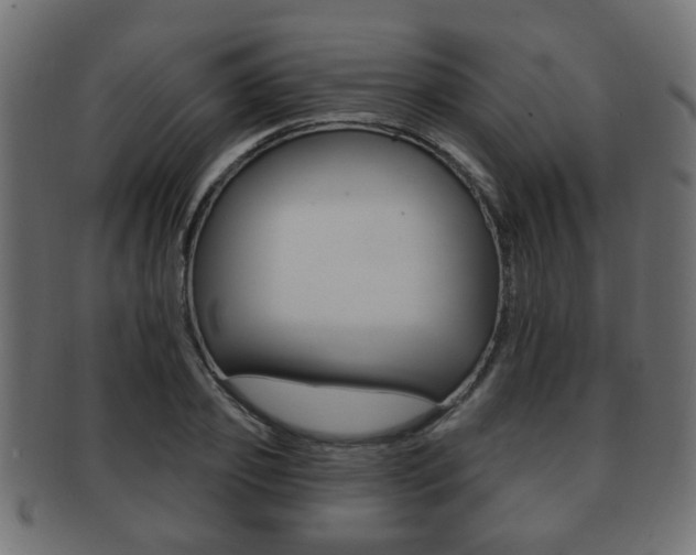X0000091990933200709061217