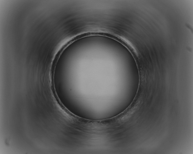 X0000091990935200709061217