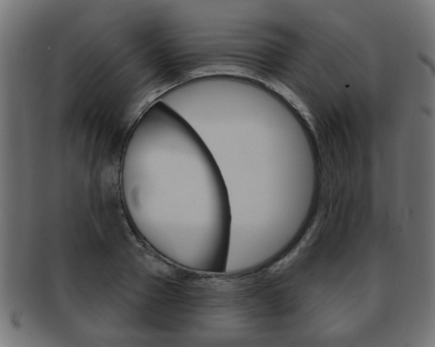 X0000091990937200709061217