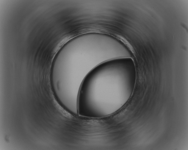 X0000091990938200709061217