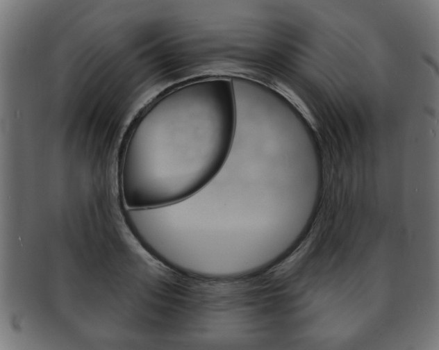 X0000091990939200709061217