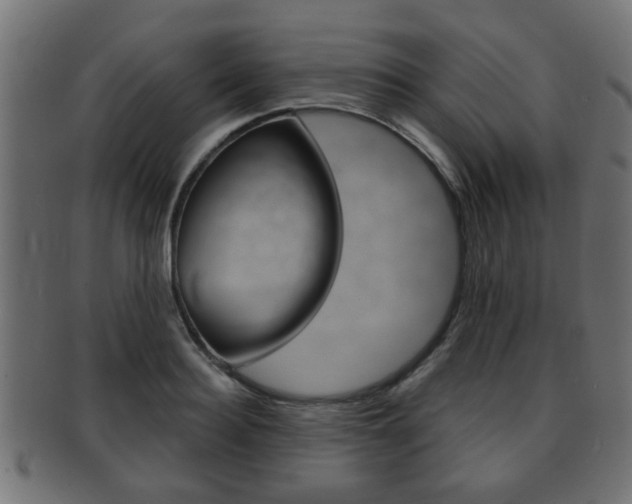 X0000091990940200709061217