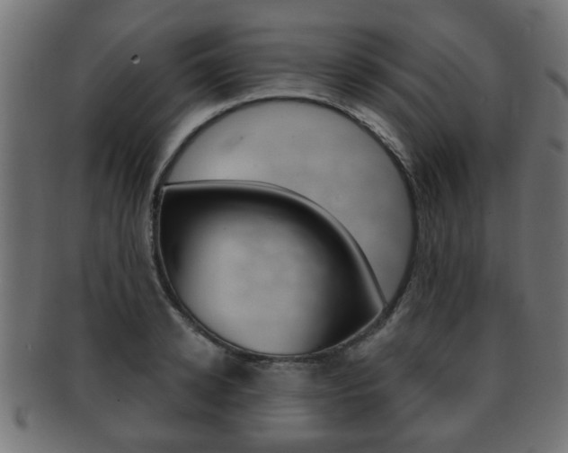 X0000091990942200709061217