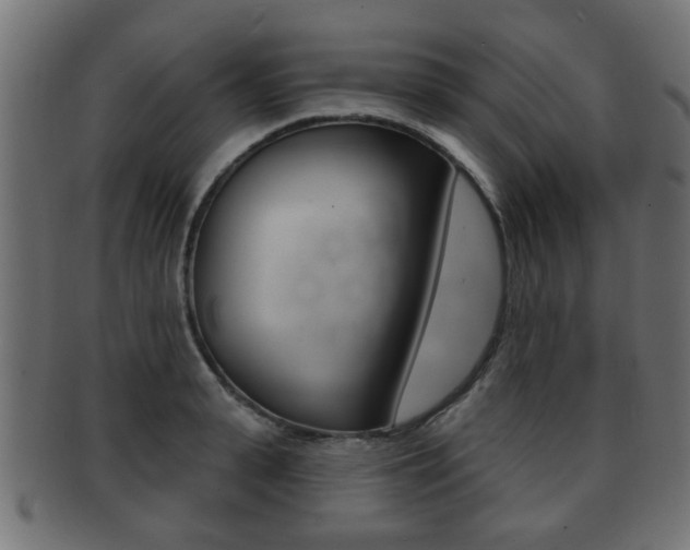 X0000091990943200709061217