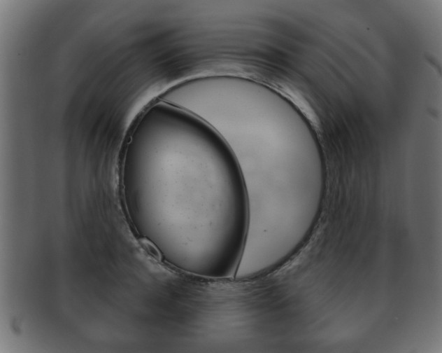 X0000091990944200709061217