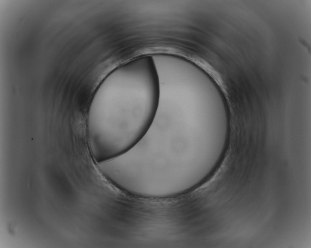 X0000091990945200709061218