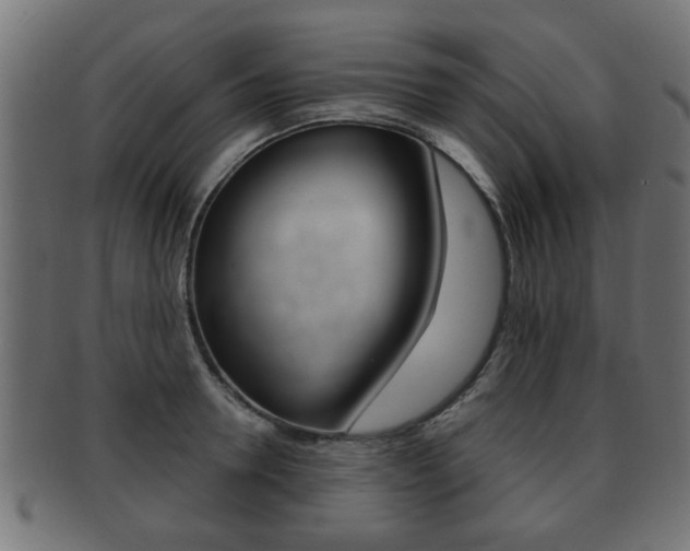 X0000091990946200709061218
