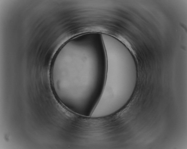 X0000091990947200709061218