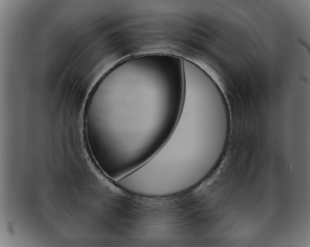 X0000091990949200709061218