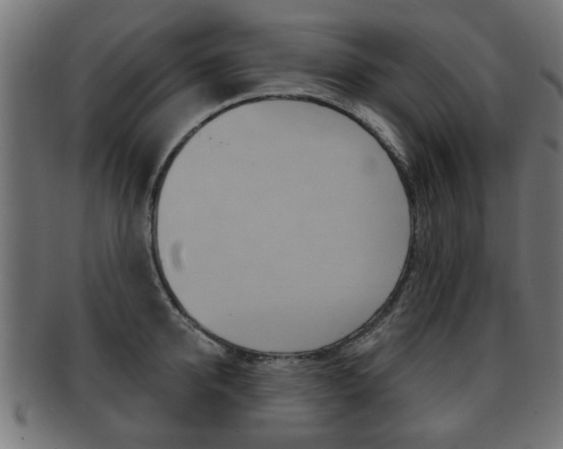 X0000091990950200709061218