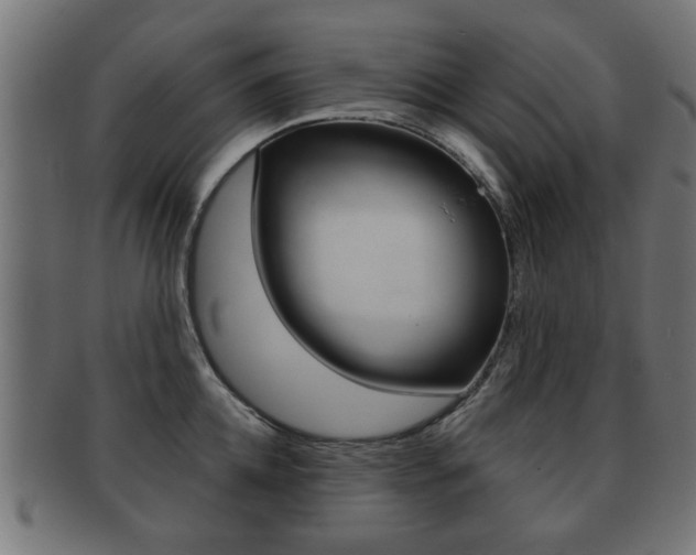 X0000091990952200709061218