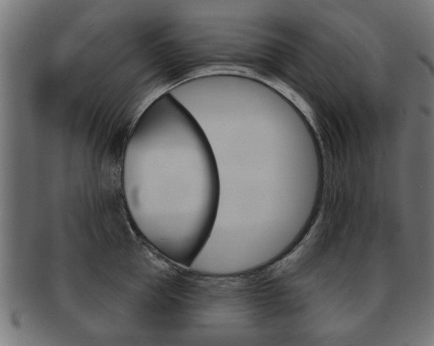 X0000091990953200709061218