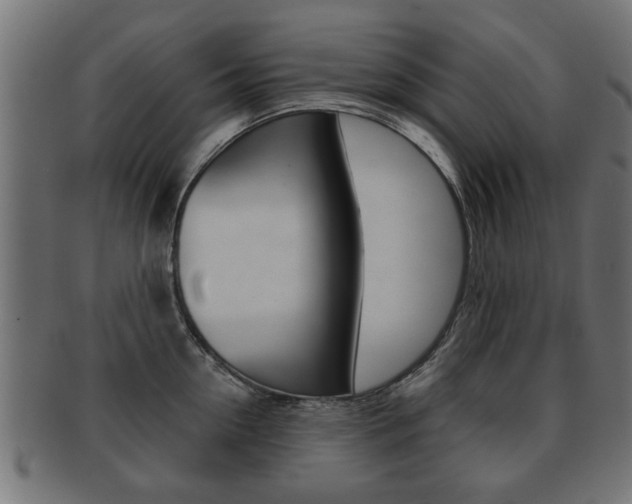 X0000091990954200709061218