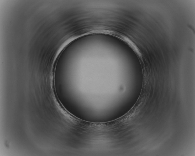 X0000091990955200709061218
