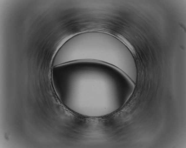 X0000091990956200709061218