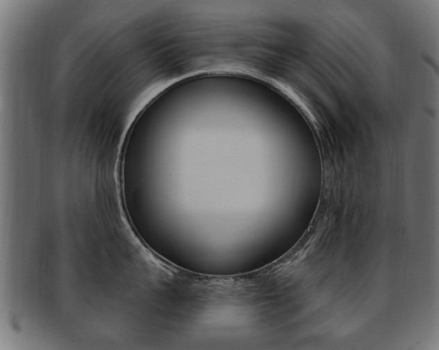 X0000091990959200709061218