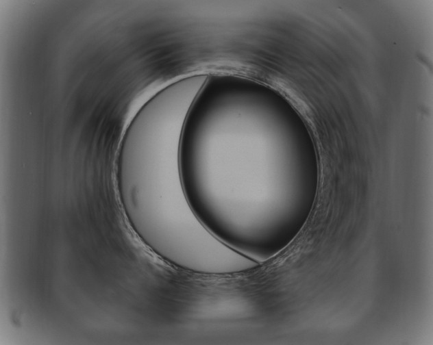 X0000091990960200709061218
