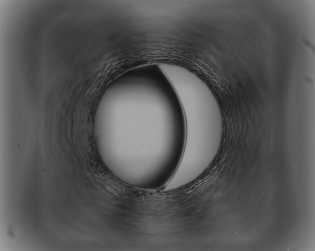 X0000091990961200709061217
