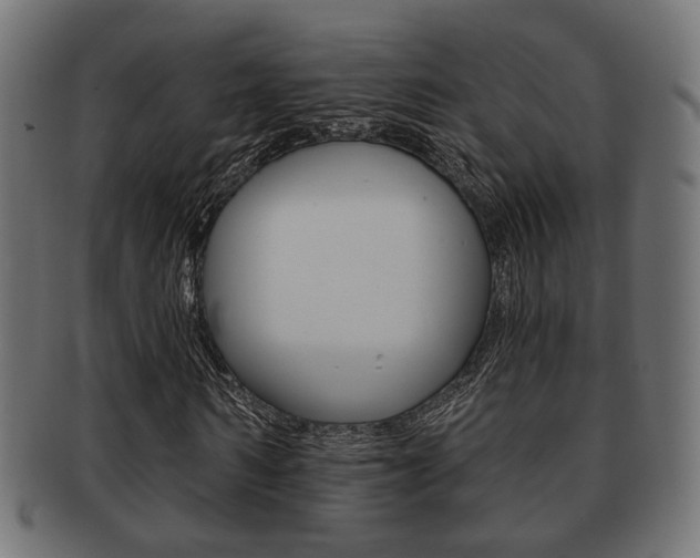 X0000091990962200709061217