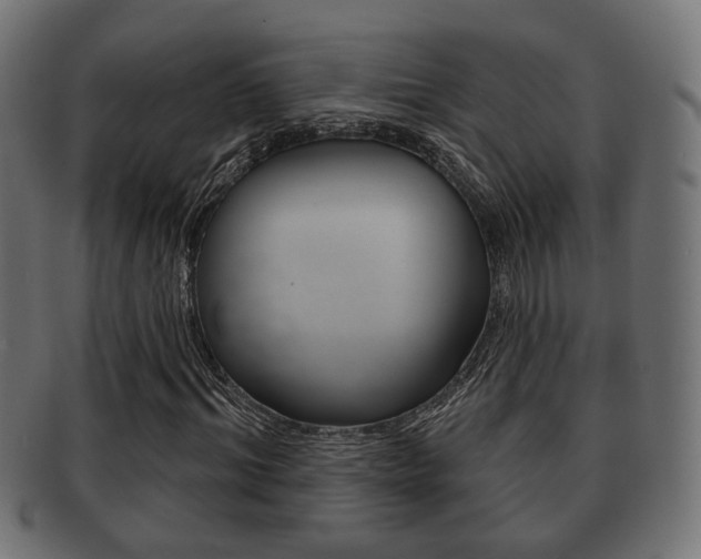 X0000091990964200709061217