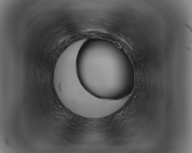 X0000091990965200709061217