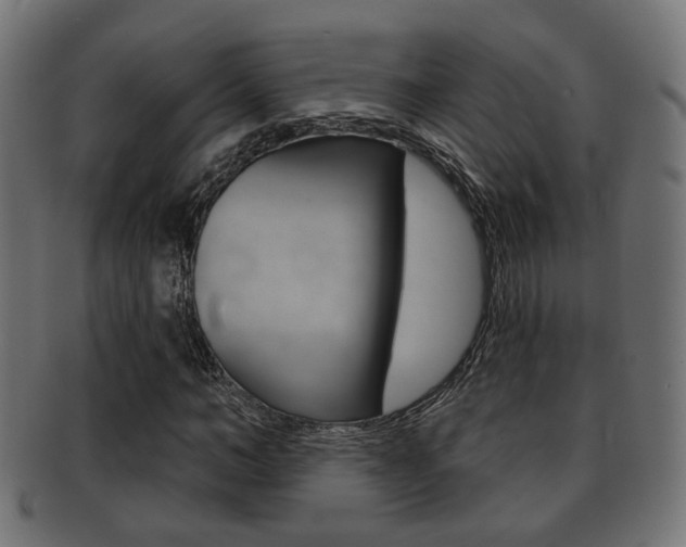 X0000091990966200709061217