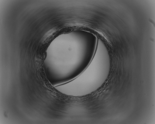 X0000091990967200709061217