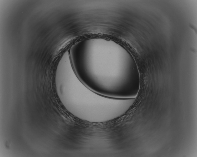 X0000091990968200709061217