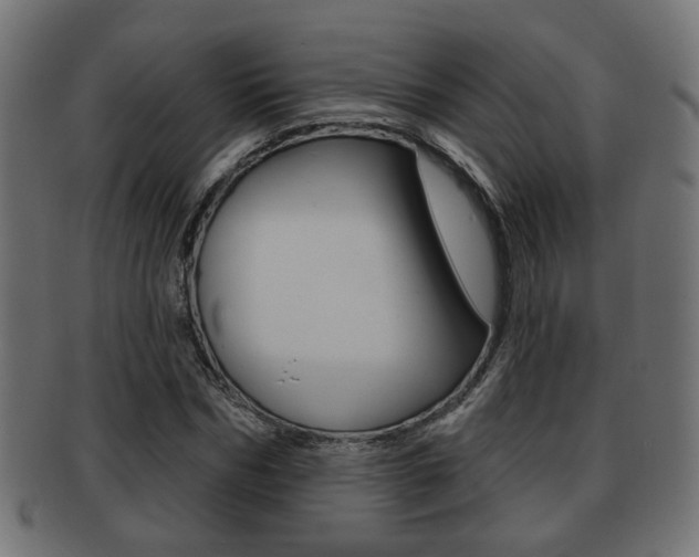 X0000091990970200709061217