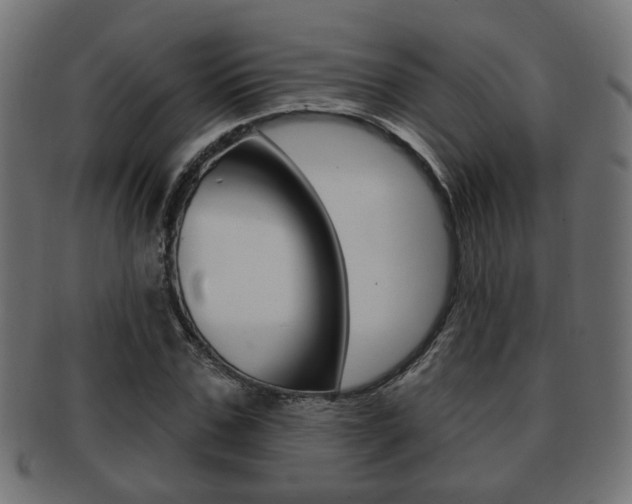X0000091990971200709061217