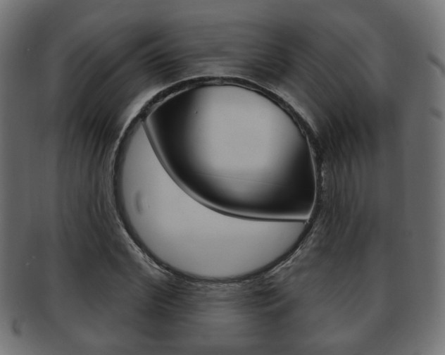 X0000091990972200709061217