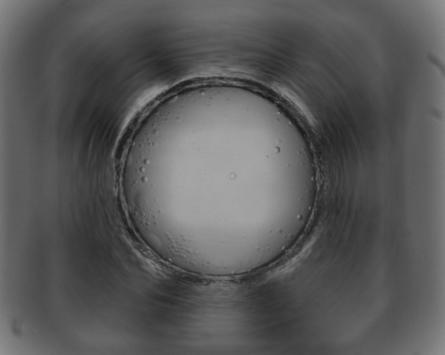 X0000091990974200709061217