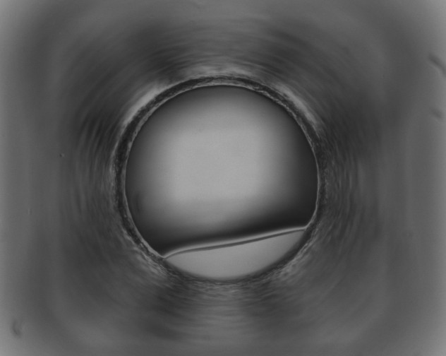 X0000091990975200709061217
