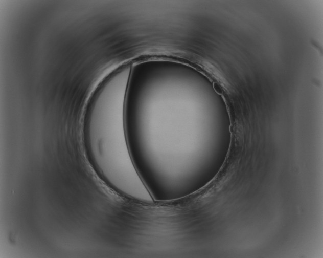X0000091990976200709061217