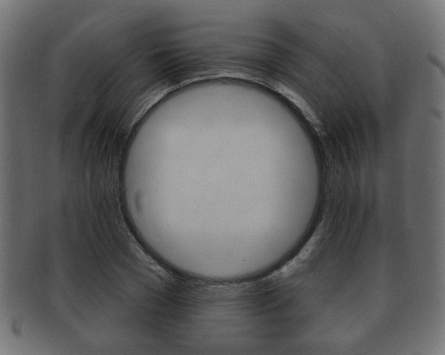 X0000091990977200709061217