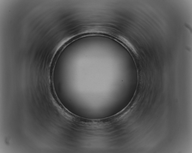 X0000091990980200709061217