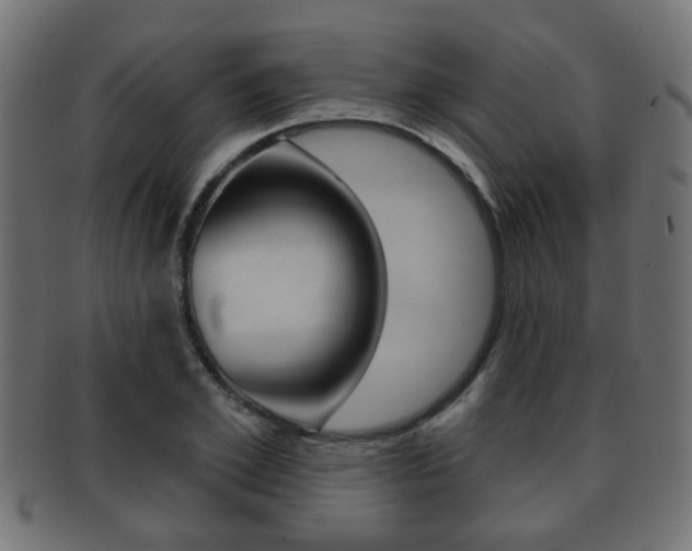 X0000091990981200709061217