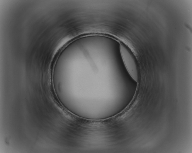 X0000091990982200709061217