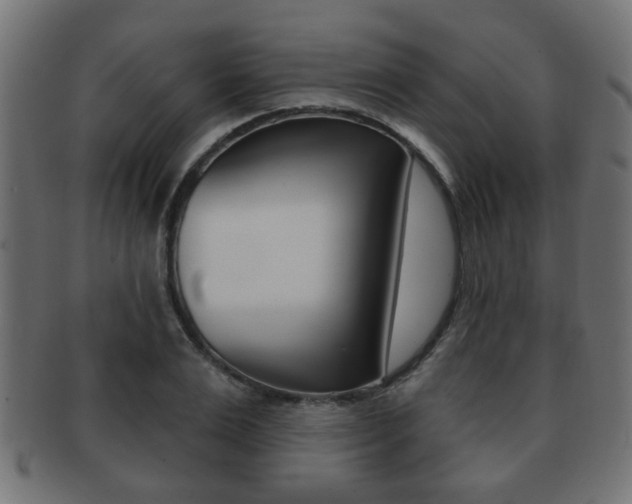 X0000091990983200709061217