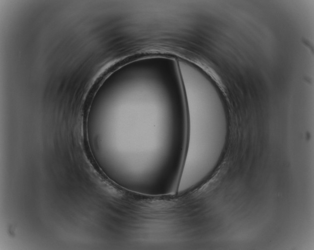 X0000091990984200709061217