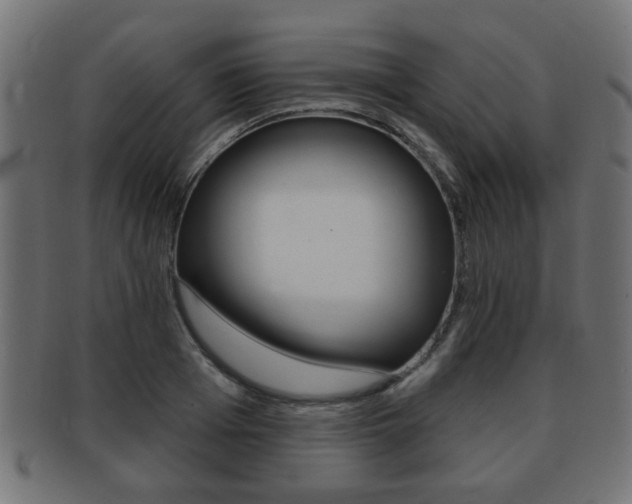 X0000091990985200709061217