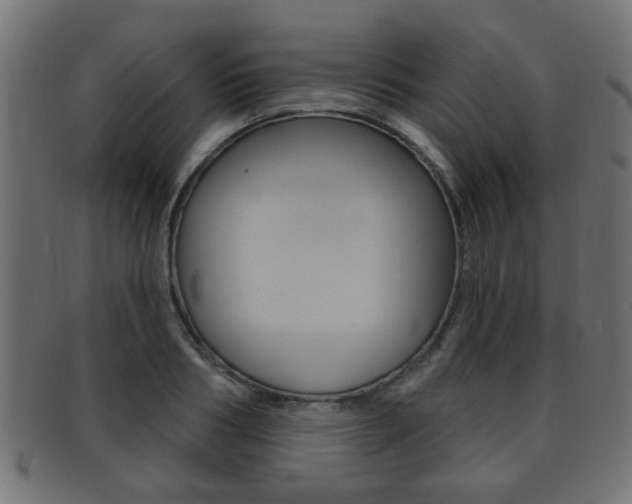 X0000091990986200709061217