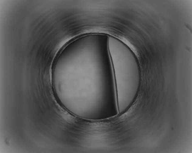 X0000091990988200709061217
